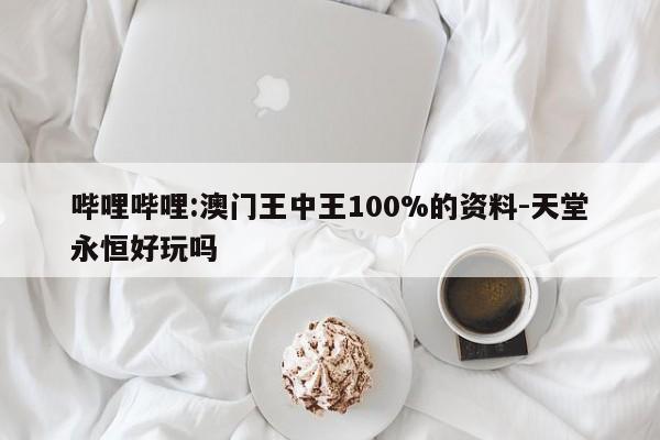 哔哩哔哩:澳门王中王100%的资料-天堂永恒好玩吗