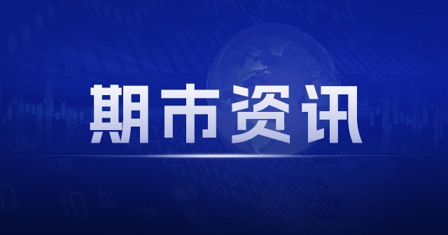 马耳他政府承诺适时承认巴勒斯坦国：关注中东局势选择时机