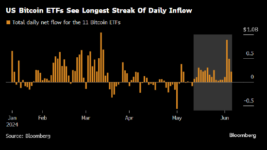 美国比特币ETF资金连续流入天数创纪录 期权市场押注比特币本月会新高  第2张
