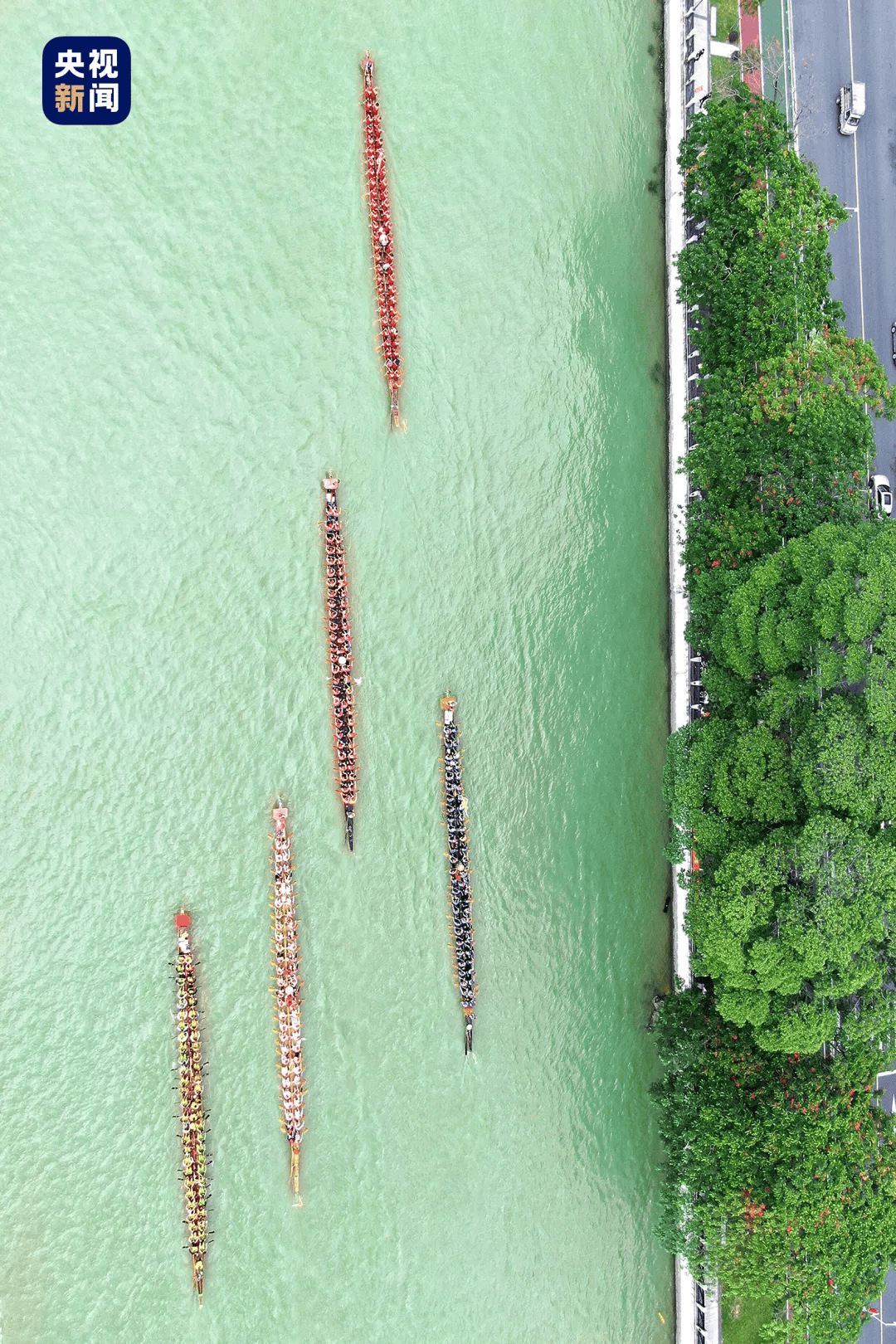 又到被赛龙舟“硬控”时间！文旅新顶流为何是它？  第10张