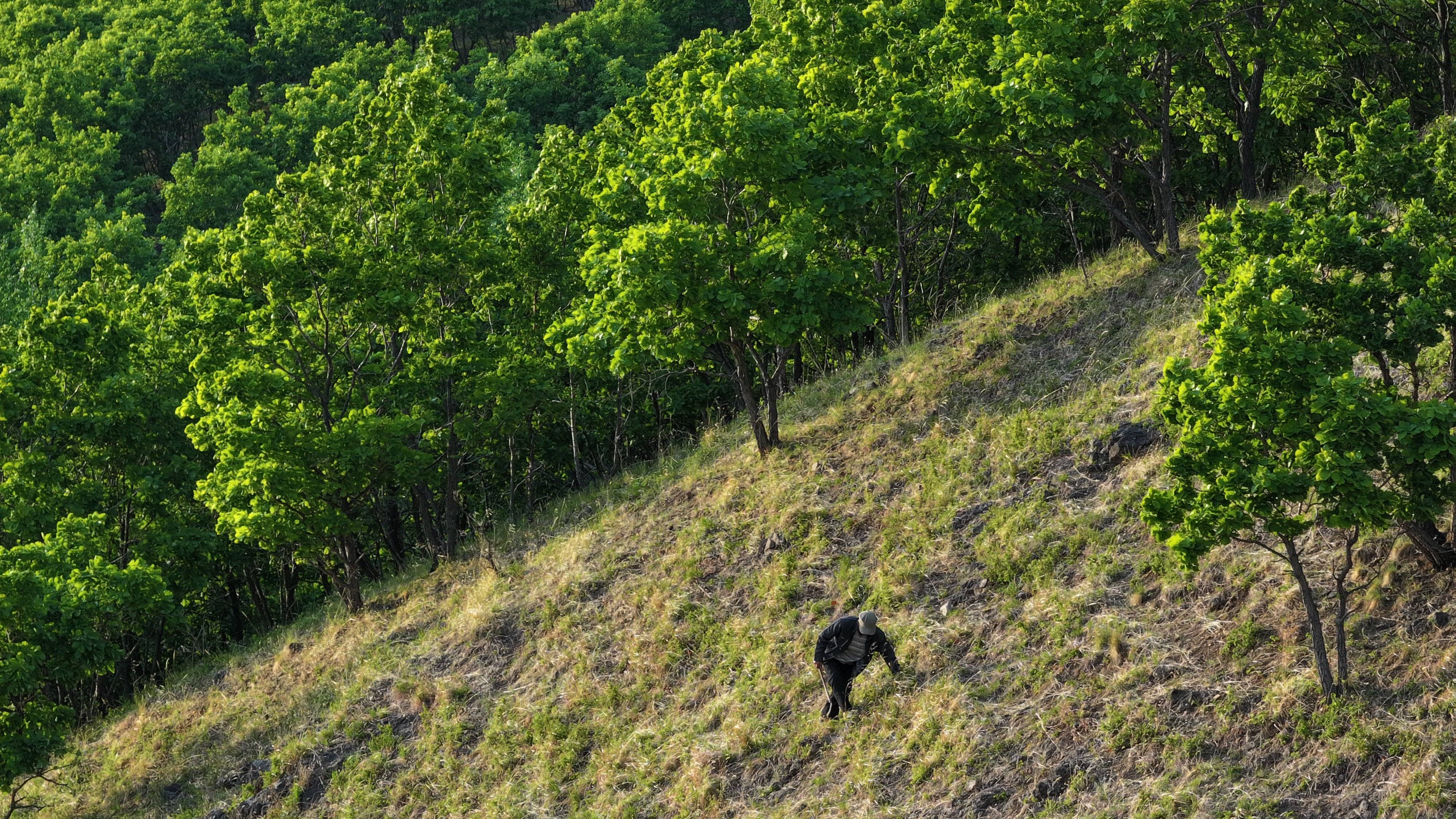 种树“愚公”王武山  第3张