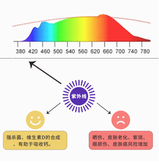 智谋纪 AI+Multi LED 打开人类健康新宝藏  第3张