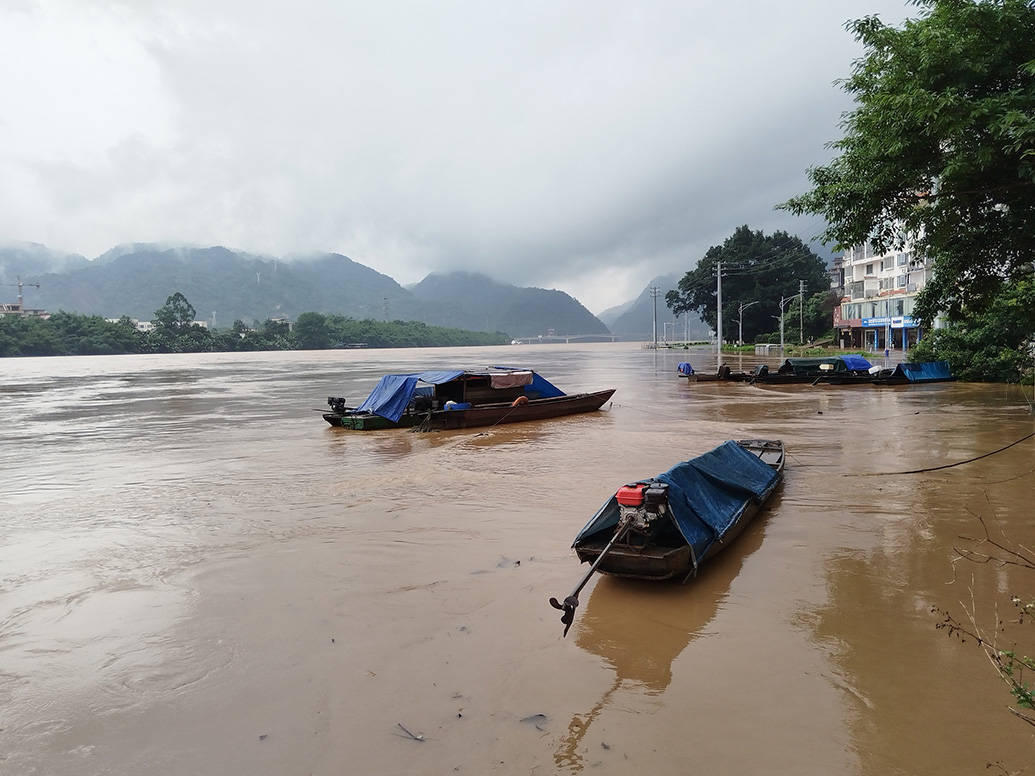 南方强降雨｜广西48条河流79个站出现超警洪水                