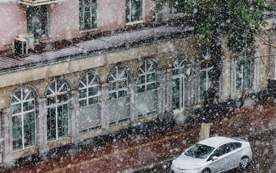 蒙古国夏至罕见降雪  第1张