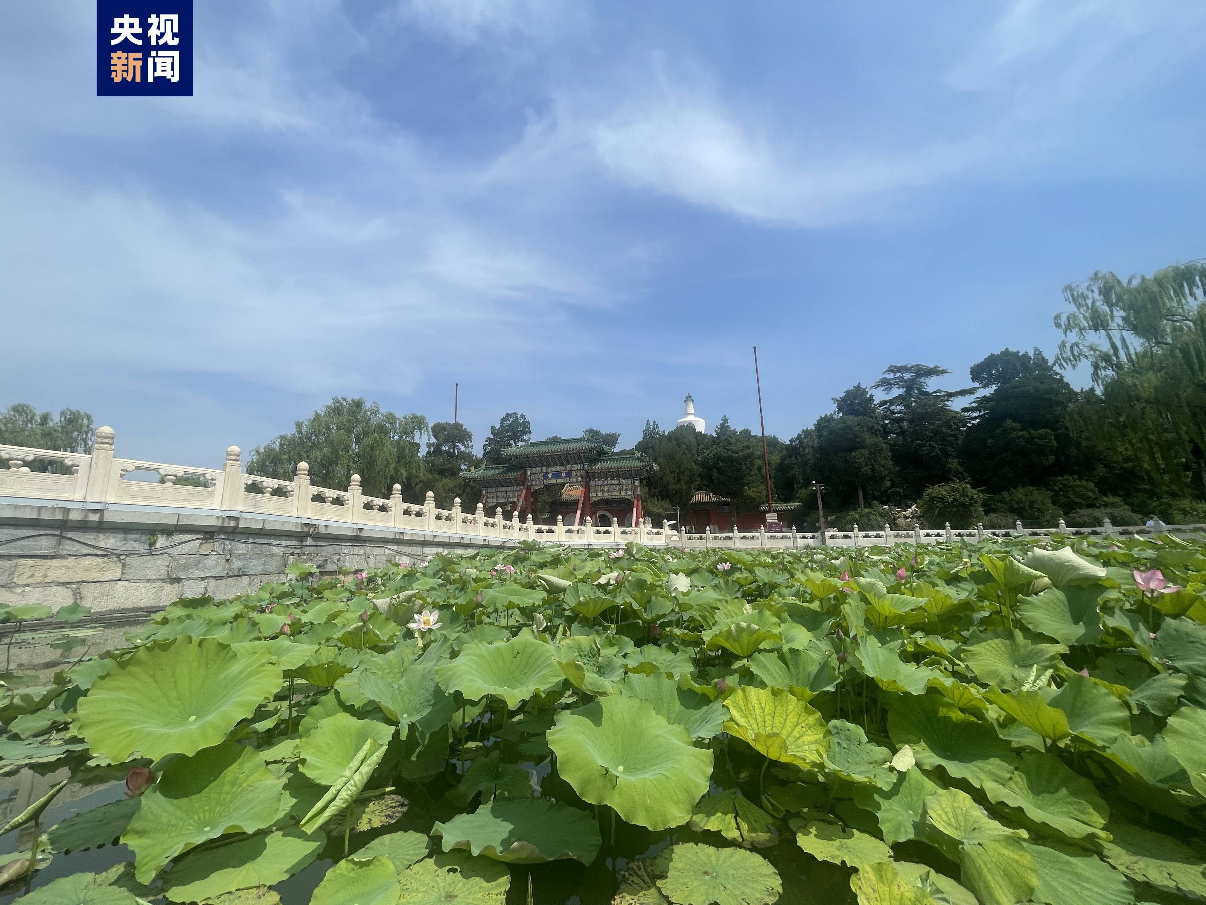 除故宫国博等之外，北京全市旅游景区全面取消预约                