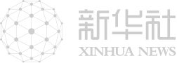 大力推进现代化产业体系建设 加快发展新质生产力——来自中国经济圆桌会观察  第6张