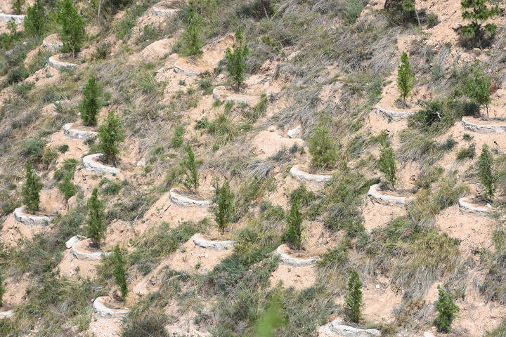 西北小城富平的治水之路  第11张