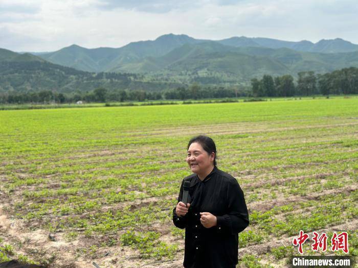 （铸牢共同体 中华一家亲）不加“科技与狠活” 这座内蒙古“小庙”靠中药材致富                