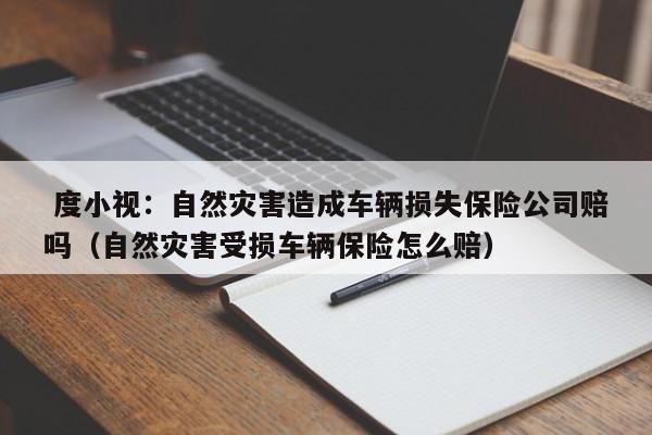  度小视：自然灾害造成车辆损失保险公司赔吗（自然灾害受损车辆保险怎么赔）