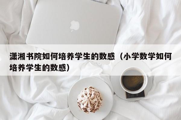 潇湘书院如何培养学生的数感（小学数学如何培养学生的数感）  第1张