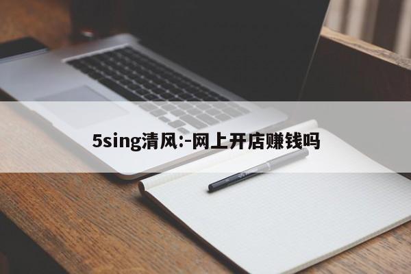 5sing清风:-网上开店赚钱吗  第1张