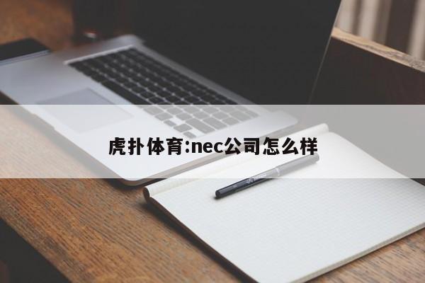 虎扑体育:nec公司怎么样