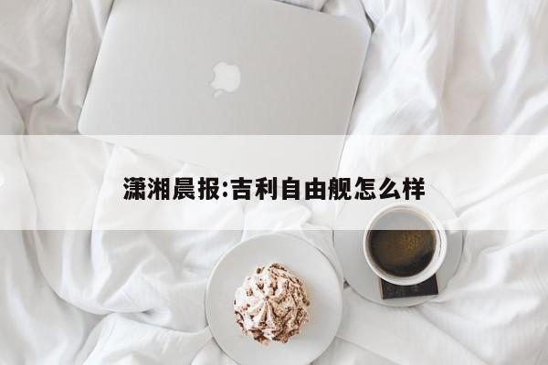 潇湘晨报:吉利自由舰怎么样