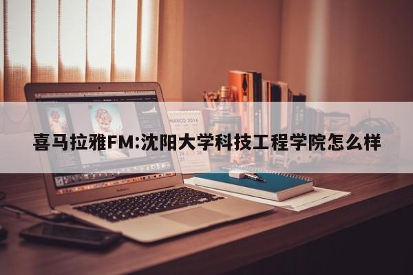 喜马拉雅FM:沈阳大学科技工程学院怎么样