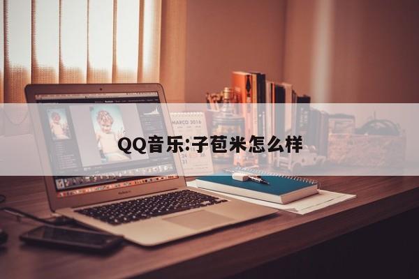 QQ音乐:子苞米怎么样  第1张