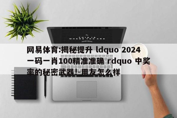 网易体育:揭秘提升 ldquo 2024一码一肖100精准准确 rdquo 中奖率的秘密武器!-用友怎么样