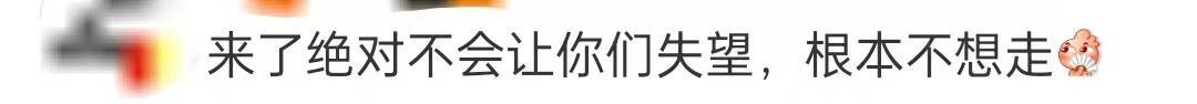 法国人都要来中国买lv，网友留言：中国等你来探索！