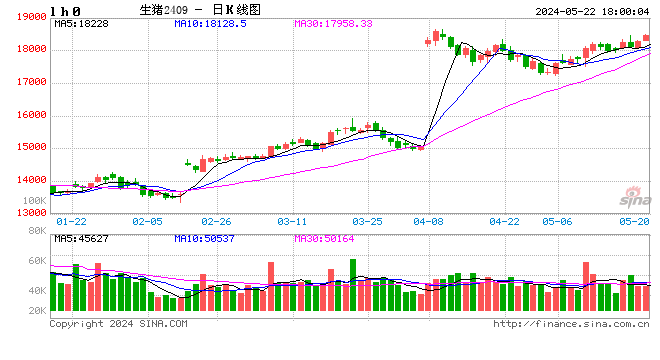 每日猪讯5.22