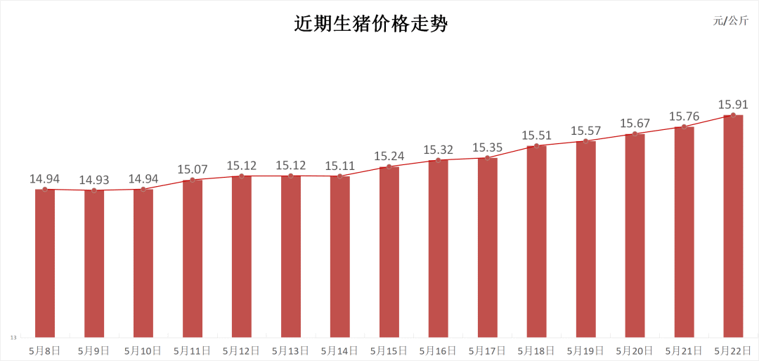 每日猪讯5.22