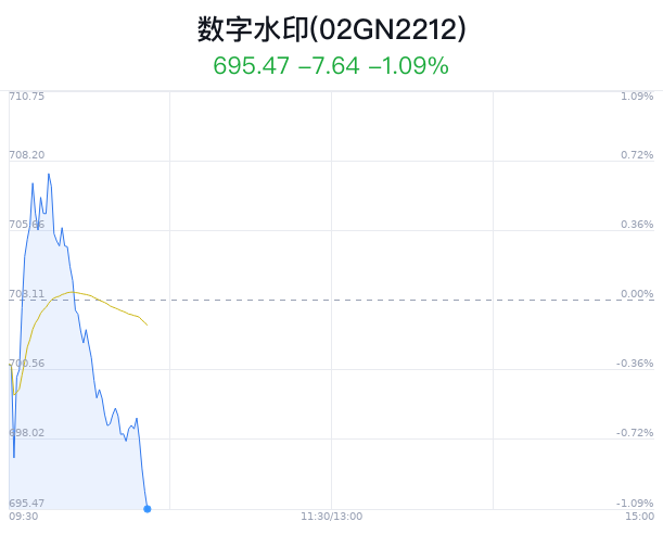 数字水印概念盘中跳水，视觉中国跌1.25%