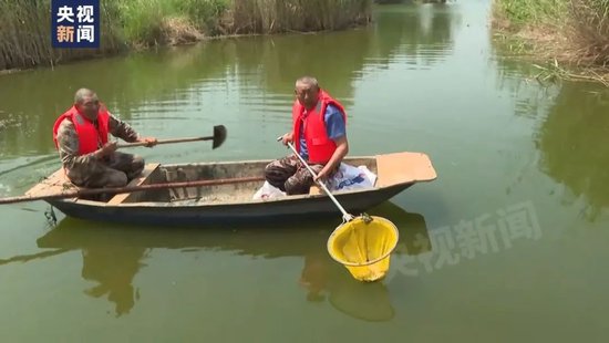 刚刚通报！全椒县委主要负责同志被免职