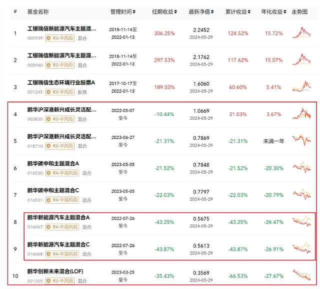 中国经济新闻网:管家婆2024精准资料大全-亏了43%，鹏华基金“新能源女神”还要发新产品！大V：哪来的勇气  第4张