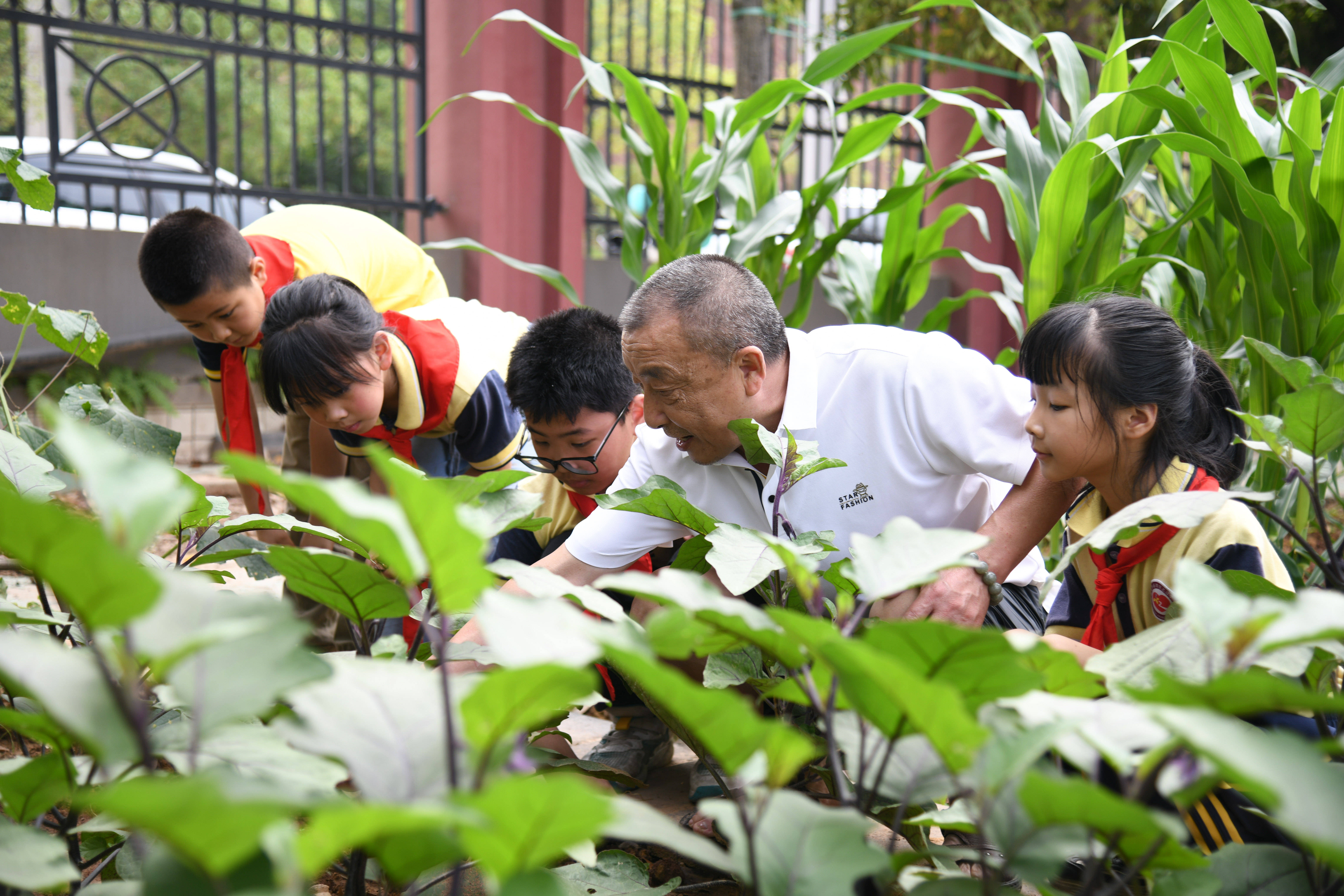 中国新闻网:2024新澳今晚资料-习近平总书记关切事｜一封信背后的牵挂                