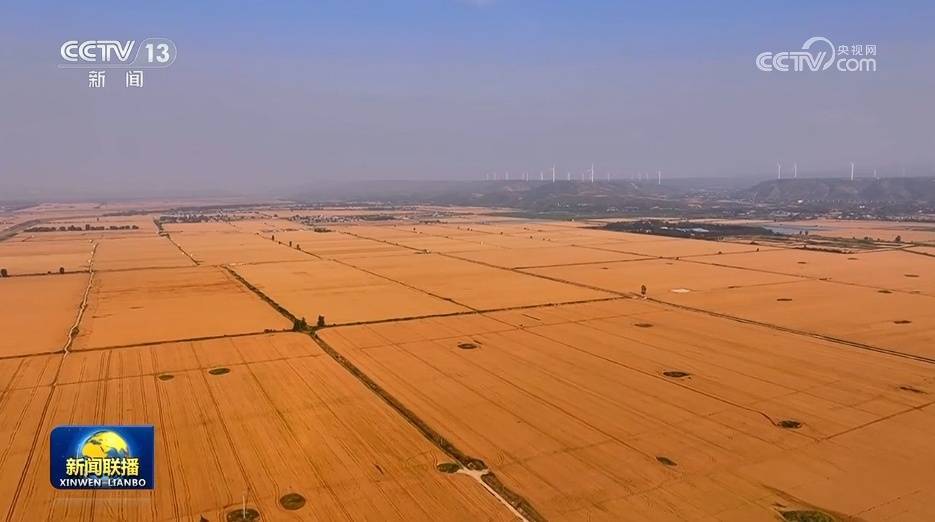 中国知网:三码中特最准网-【在希望的田野上·三夏时节】夏粮主产区小麦收获进度加快  第3张