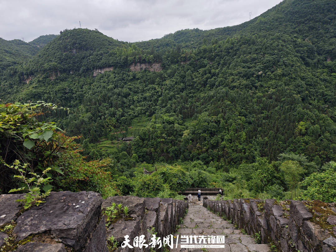 台湾青年走进贵州 在体验不同中感悟血脉相通                