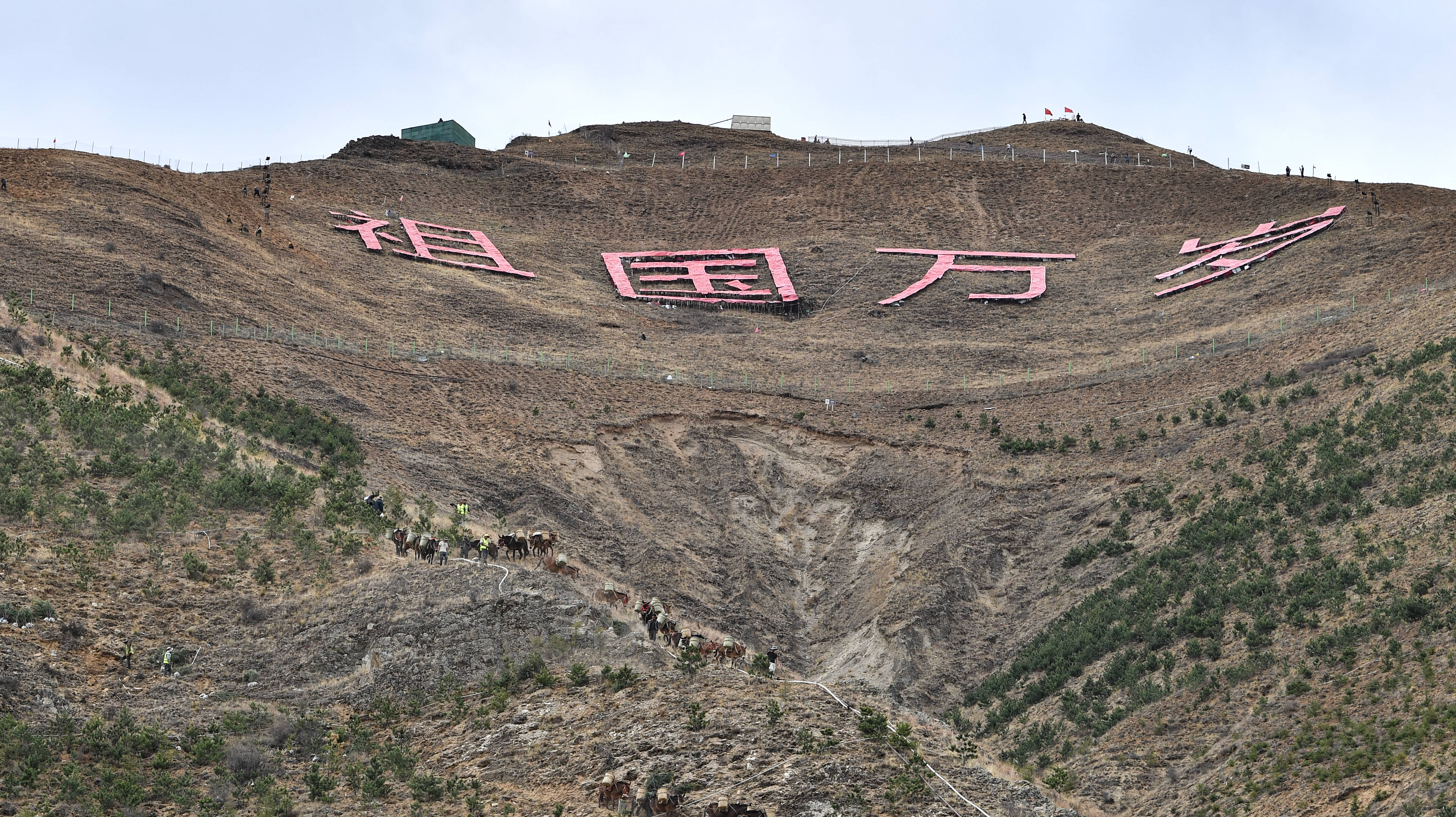 西藏拉萨：只此青绿画“两山”  第2张