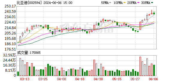 王传福：投1000亿元