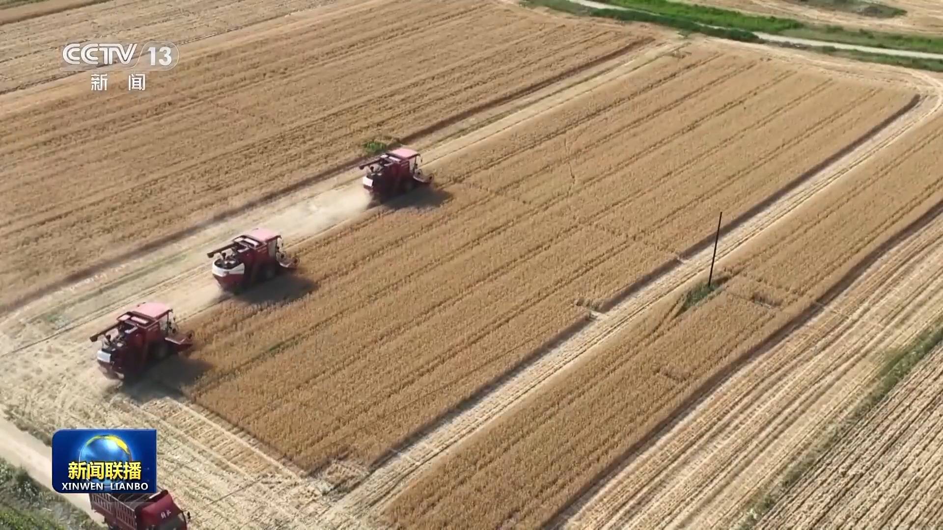 在希望的田野上丨为丰收护航！这些新农人用科技反哺农业 奋战麦收一线  第5张