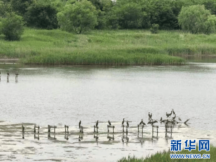 中韩民间交流期盼“双向奔赴”  第1张