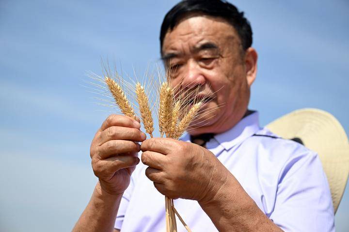 镜观·回响 | 种粮大户徐淙祥：“又是一个丰收年”  第4张