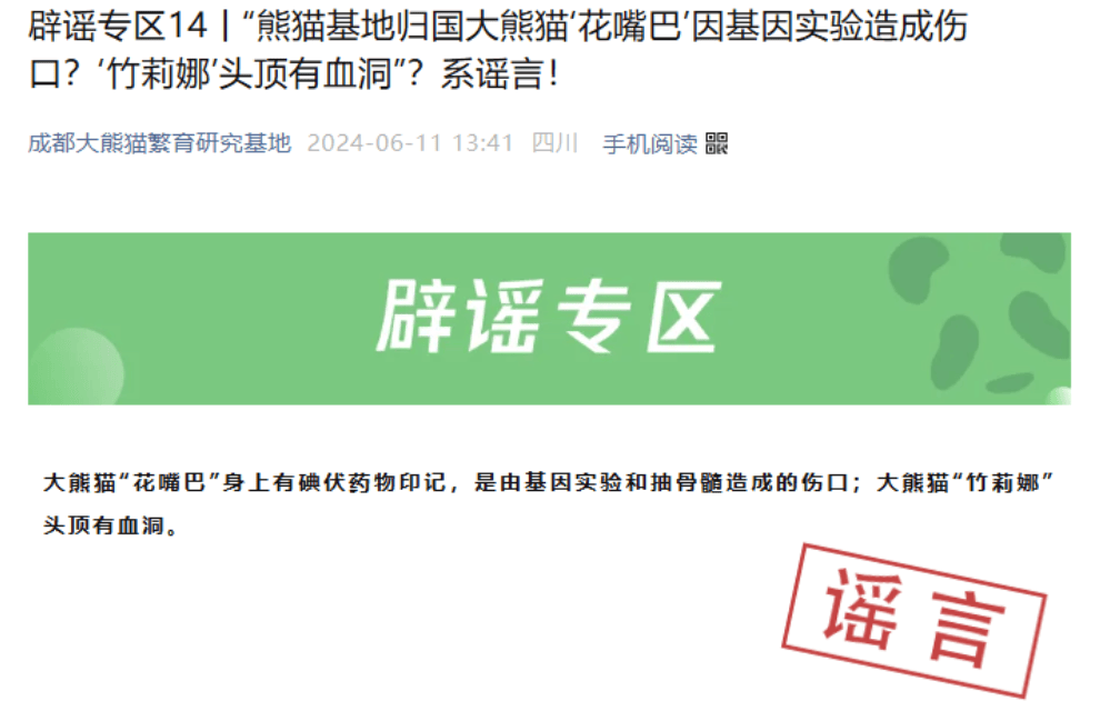 谣言！归国大熊猫被活体抽骨髓?成都大熊猫繁育研究基地辟谣  第1张