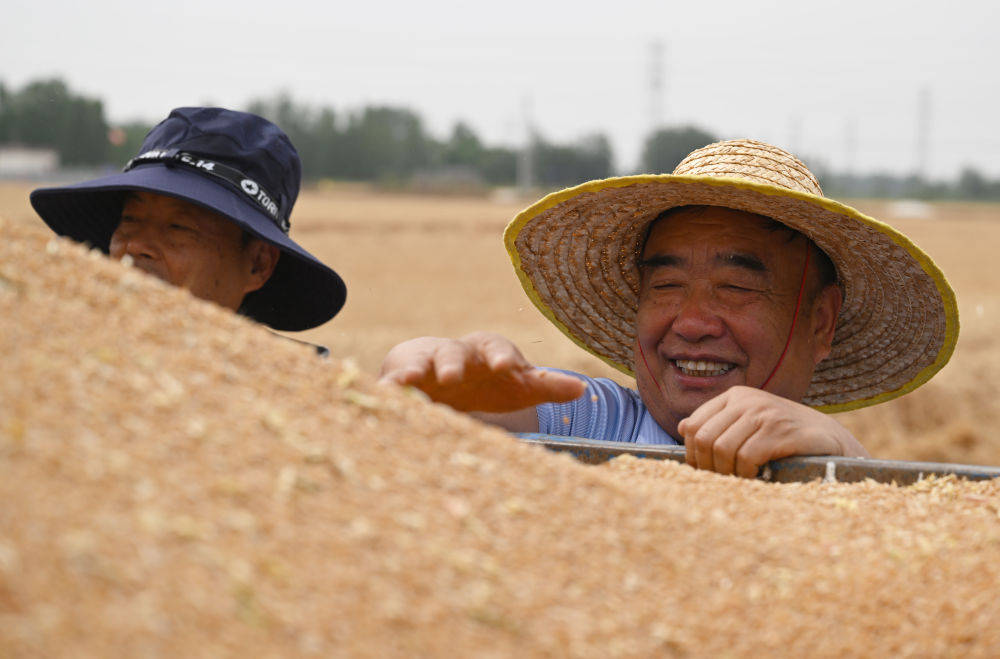 镜观·回响 | 种粮大户徐淙祥：“又是一个丰收年”  第8张