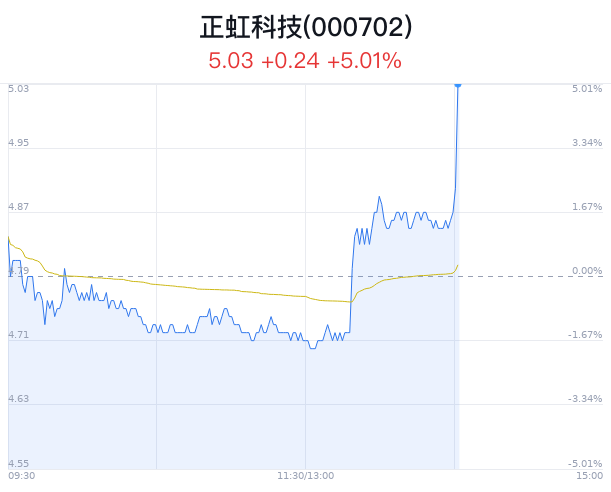 正虹科技涨5.01% CPI同比保持不变  第1张