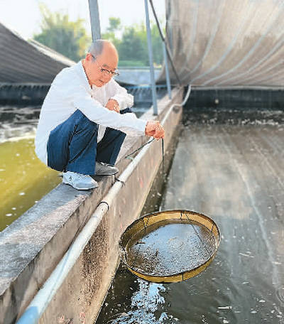 台湾大头虾里的“川渝味道”（台湾新农人扎根大陆⑪）  第1张