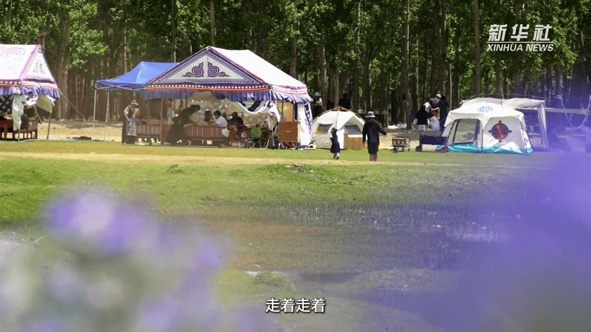 文化中国行｜西藏“琪”遇 ：乐享夏日“林卡”时光                