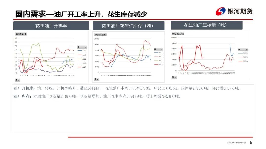 【花生周报】花生产区干旱 盘面大幅波动  第7张