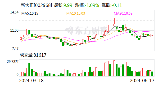 新大正：部分董事、高管合计增持92.02万股 增持计划实施完成