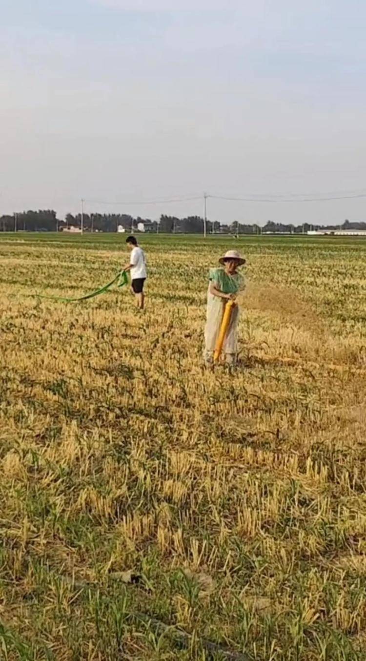 三省农户的抗旱讲述：昼夜不停地浇地  第3张