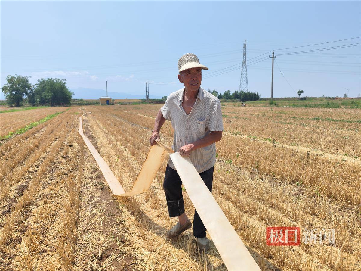 高温干旱“烤”验下的“晋南粮仓”：有村民为节水上网学喷灌，农户盼“引黄”工程早日通水  第2张