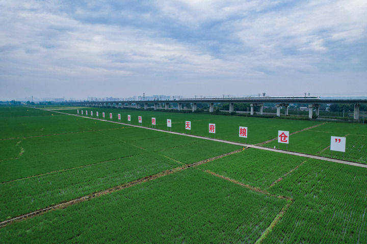 更好扛起粮食生产的重任——“天府粮仓”新实践扫描                