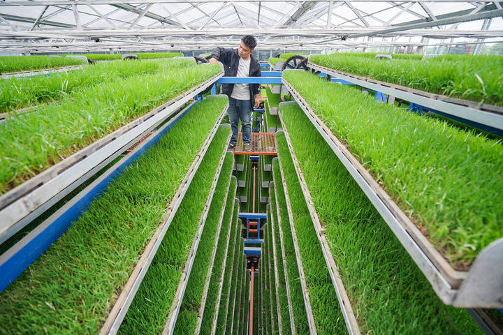 更好扛起粮食生产的重任——“天府粮仓”新实践扫描  第12张