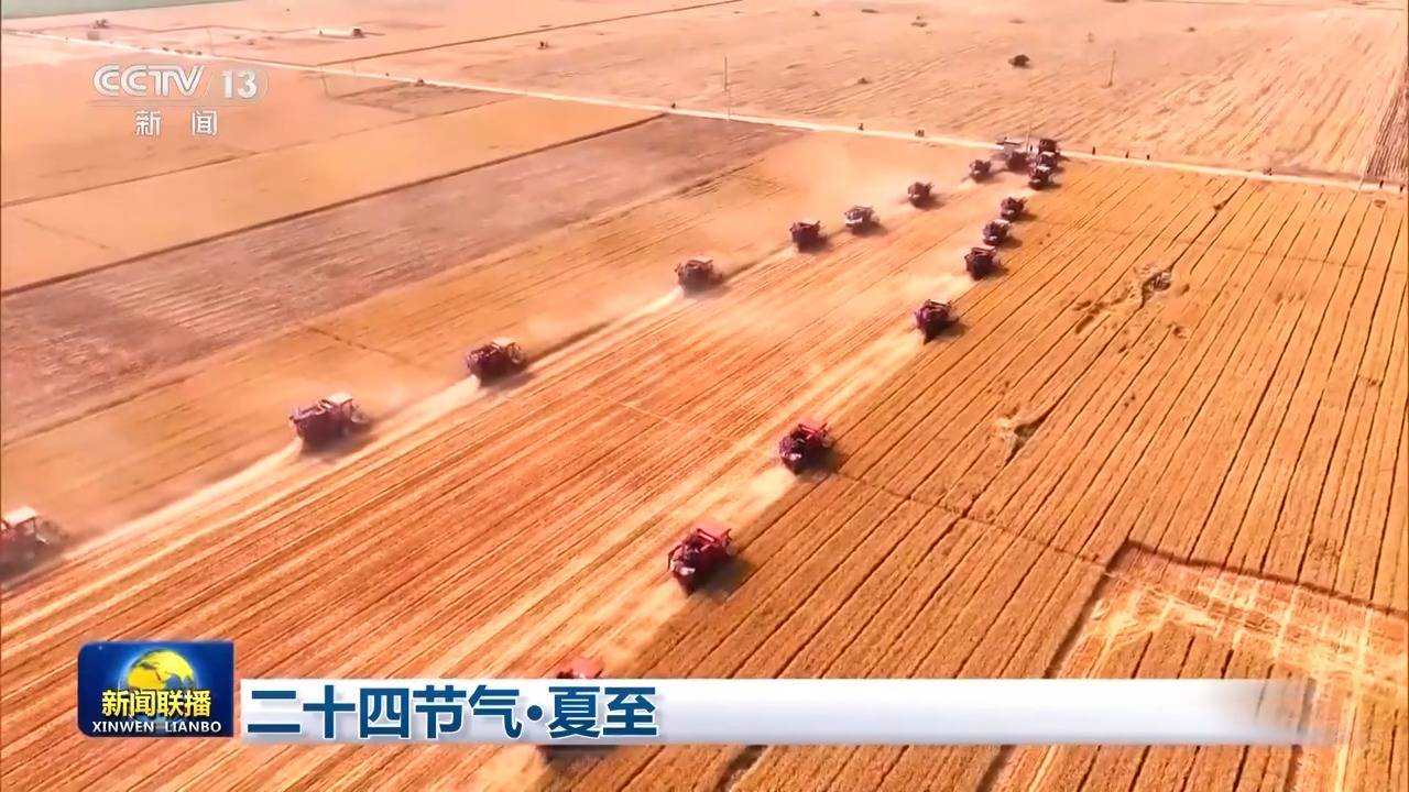 文化中国行丨处处闻蝉响遍地听蛙声 愿一切美好如夏而至  第4张