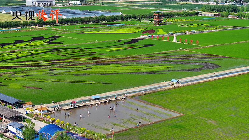 【央视快评】在中国式现代化建设中谱写好宁夏篇章                